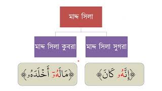 Tajweed Series Bangla 42 - Madd Silah