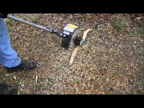 How To Deal With Exposed Tree Roots How To Deal With Exposed Tree Roots