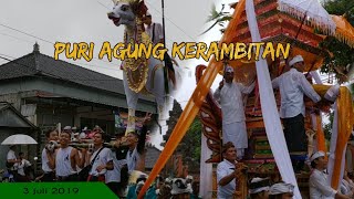 Pelebon Puri Agung Kerambitan