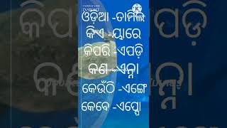 learn tamil to odia quickly ତାମିଲ ଭାଷା ସହଜରେ ଜାଣନ୍ତୁ 👌👌