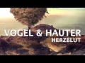 Vogel & Hauter - Zweisamkeit (Original Mix) (Schaltwerk 015)