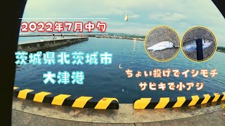 2022年7月中旬【茨城県北茨城市大津港】にサビキ釣り＆ちょい投げしてみたら…