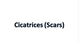 Cicatrices (Scars)