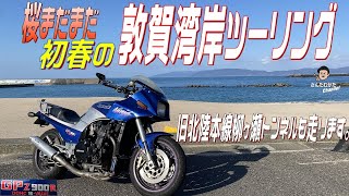 【Vol#152】GPZ900Rで行く桜開花前の海津大崎と不気味な柳ヶ瀬隧道、そして日本海敦賀湾・水晶浜白木浜サンセットツーリング 【ツーリング】【関西】【滋賀】【福井】