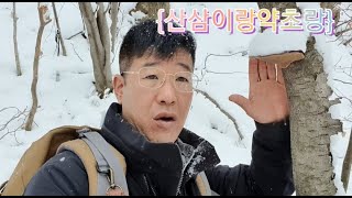 눈이와도 개회상황버섯을 위해서 산에 다녀왔어요.