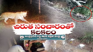 రాజమహేంద్రవరంలో చిరుత సంచారంతో కలకలం | Leopard Hulchul At Rajamahendravaram | CCTV Footage