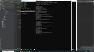 P2 Screencast