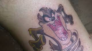 Tasmanian Devil tattoo time lapse