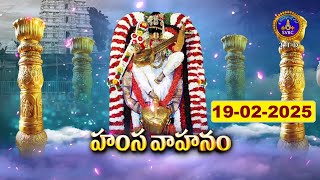 Hamsa Vahanam |Sri Kalyana Venkateswara Swamy Brahmotsavam| Srinivasamangapuram |19-02-2025|SVBC TTD