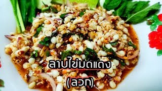 เมนูเด็ด  EP.6 #ลาบไข่มดแดง (ลวก) ทำกินง่ายๆ กับวัตถุดิบชั้นสูง #Ant egg