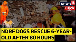 Turkey Syria Earthquake 2023 | NDRF Dogs Rescue 6-Year-Old After Turkey Earthquake | English News
