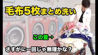 毛布5枚をまとめ洗い！？コインランドリーで一気にお洗濯【ジュニア洗濯ソムリエが教える】