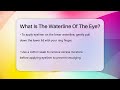 what is the waterline of the eye optometry knowledge base