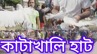 ৮ নভেম্বর | কবুতর কেনার সেরা দিন ছিল আজ, ক্রেতা কম থাকায়, কবুতরের দামও কম || কাটাখালি হাট, রাজশাহী |