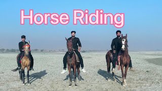 Horse Riding || Imran Shah Official
