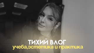 тихий влог : практика по учебе и эстетика будней