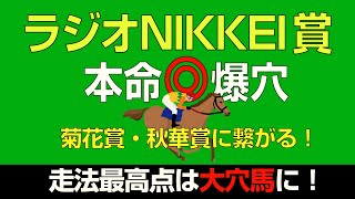 ラジオNIKKEI賞2023本命爆穴＆走法最高点爆穴も公開！