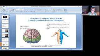 NPN 140:  Neuro Overview