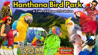 Hanthana Bird Park: A Colorful Escape into Nature 🐦🦢🦩🕊️🐤🐥 #hanthana #hanthanabirdspark #birdlovers