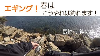 【エギング】春はこうやれば釣れます。 長崎市 神の島町