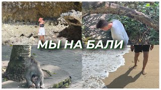 VLOG | БАЛИ, НАША ВИЛЛА И MONKEY FOREST