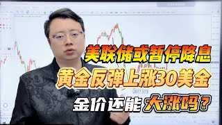 美联储或暂停降息，黄金反弹上涨30美金，金价还能大涨吗？【外汇交易策略】