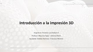 tutorial introducción a la impresión 3D, Ramo: Procesos y prototipo II