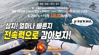 🐠.삼치는 얼마나 빠른지 전속력으로 감아보자! 경주대삼치 24-25시즌 #2_고시들의 습격!! [길샘낚시] 🎣 대삼치낚시