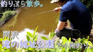 【小物釣り】静かな公園！所沢 滝の城址公園で小物釣り。【淡水】