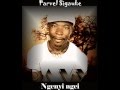 ngenyi ngei (official version),parvel sigauke