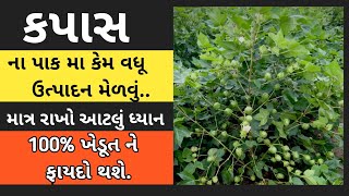 કપાસ ના પાક મા કેમ વધુ ઉત્પાદન મેળવું ૨૦૨૨ | Kapas na Pak ma Vadhu utpadan