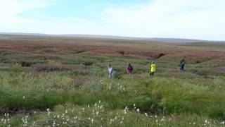 The Big Thaw: Ground-Truthing Permafrost in Alaska