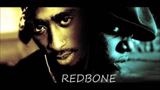 Tupac Feat. Notorious B.I.G | REDBONE (Slowed Version)