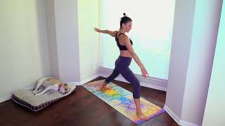 Exec #27 Fat Burning Yoga All Levels Ali Kamenova Yoga