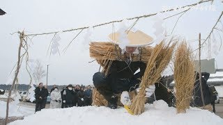 「今年こそ豊作」願い込めて雪中田植え　北秋田市