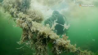 Footage shows 'sea snot' threatening marine life