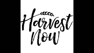 Harvest Now Church - Sunday Service