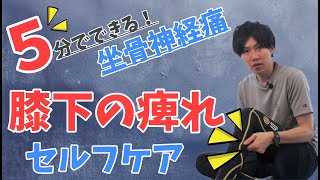 【坐骨神経痛 足の痺れ】坐骨神経痛に伴う膝の外側の痺れの治し方とセルフケア