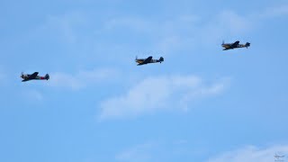 Luftwaffe Fighters  @Warbirds , Messerschmitt Bf-109s and a Fw190