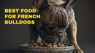 Best Dog Food For French Bulldogs