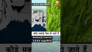 अमृत सन्देश:- नए युग के अनुरूप परिस्थितियां | Naye Yug Ke Anuroop Paristhitiyan