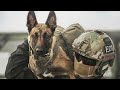 Military Motivation  - Military Dogs Tribute - Dogs of War