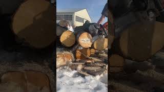 Old Stihl or New Stihl?  | Chainsaw Wars. #shorts #chainsaw #ms260 #ms261 #oregon