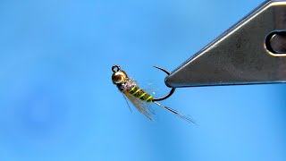 Small Olive CDC Jig Head Nymph by Davie McPhail