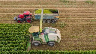 🌽Silaž 2022, Krone BigX 700 | John Deere | Zetor Crystal