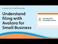 Understand filing with Avalara for Small Business