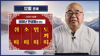 12월 띠별운세 쥐띠 소띠 범띠 토끼띠ㅣ고뇌가 가득한 000띠?! 가스라이팅 조심!