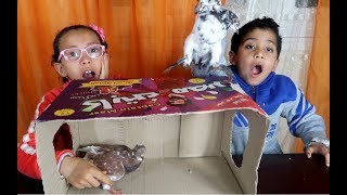 Playtubepk Ultimate Video Sharing Website