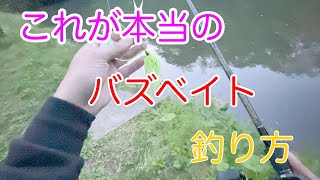 【解説】ここだけの話、釣れるバズベイトの使い方教えます。