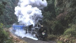 SLやまぐち クリスマス号(C56) 2011 仁保駅→篠目駅 -小河内トンネル前-